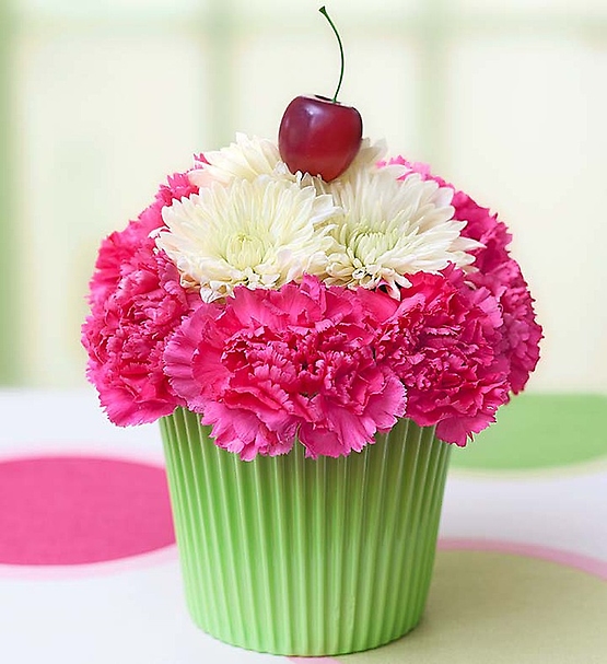 Cupcake in Bloom