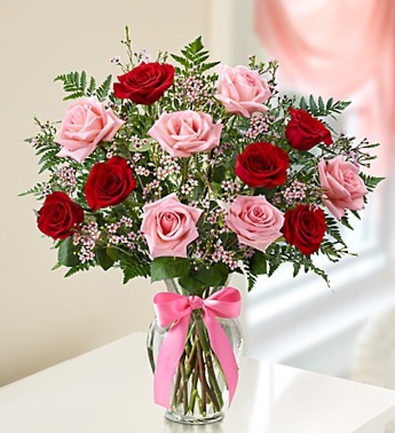 Shades of Pink and Red Long Stem Roses