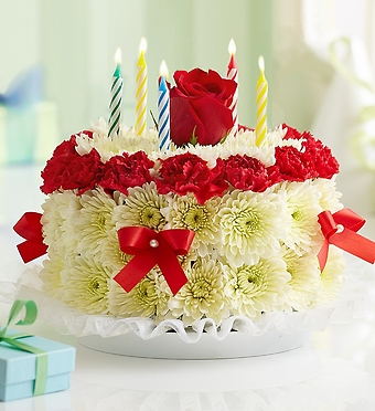 Birthday Cake Bright
