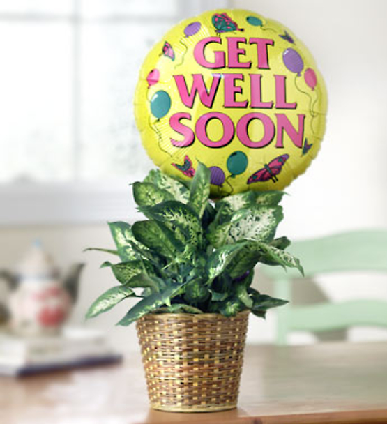 Get Well Plant with Balloon