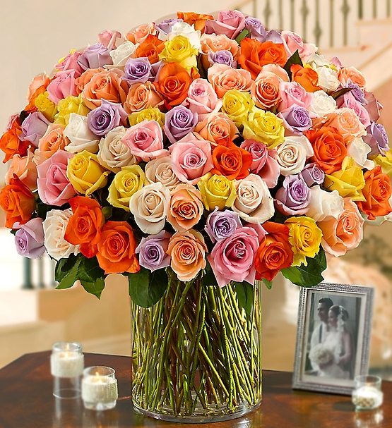 100 Premium Long Stem Multicolored Roses in a Vase
