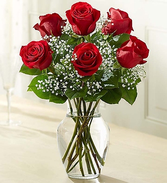 Love\'s Embrace Red Roses