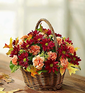 Dreams of Europe for Fall Basket