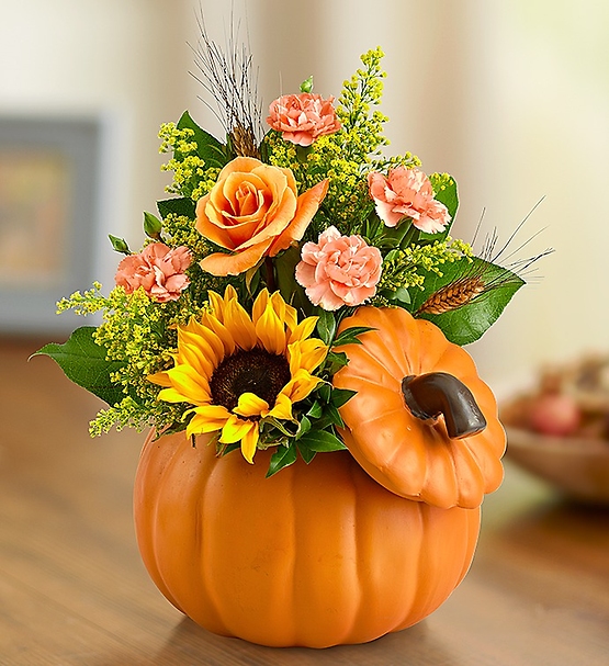 Pumpkin Posies