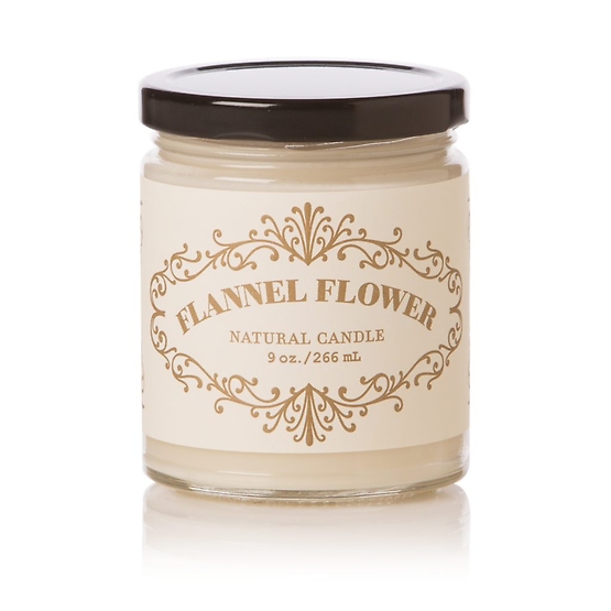 9 oz Apothecary Jar Flannel Flower