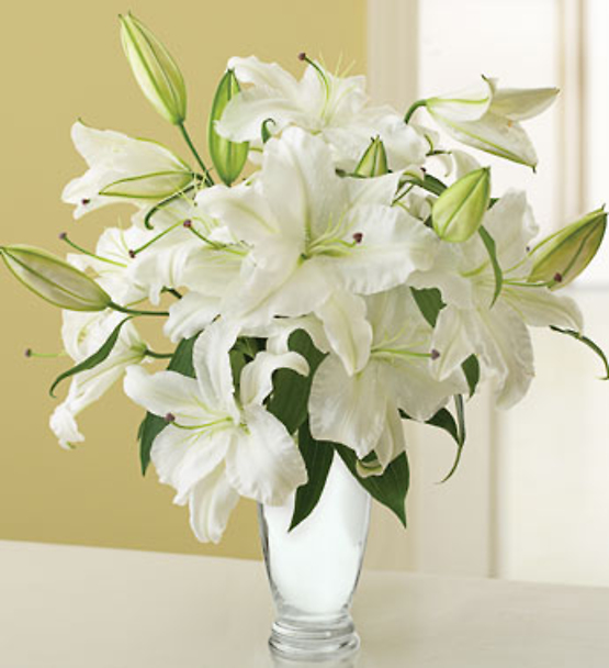 White Lily Bouquet for Sympathy