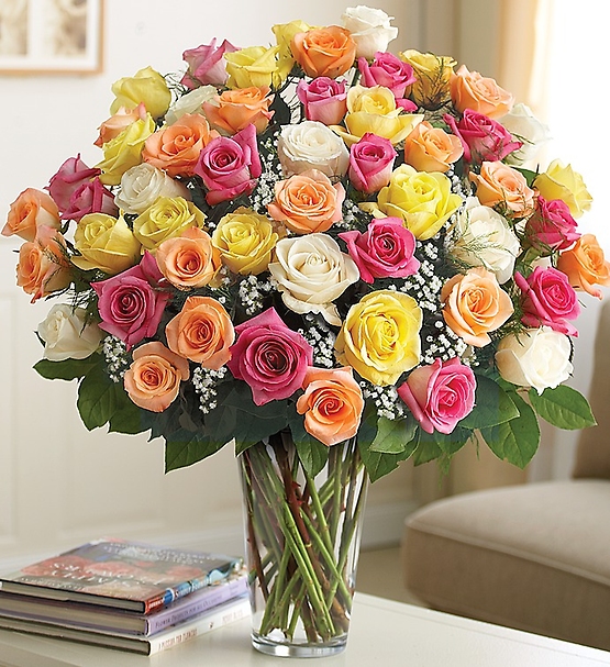 Ultimate Elegant Long Stem Assorted Roses
