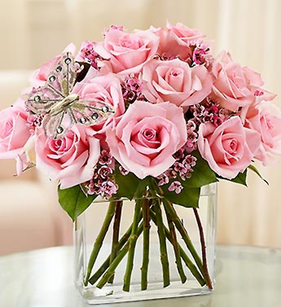 Modern Pink Roses