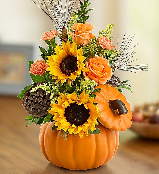 Pumpkin Posies