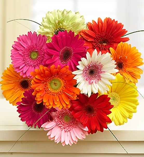 Happy Gerbera Daisy Bouquet