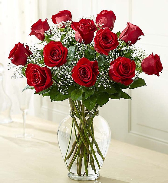 Elegant Long Stem Red Roses